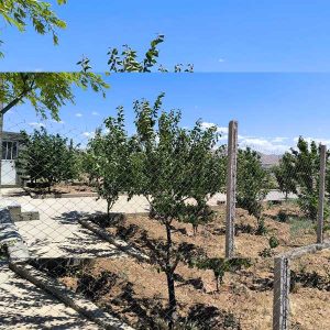 فروش خانه باغ 300 متر دونبش از سری زمین های شهامت قطعه 37