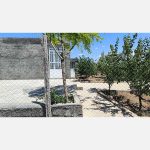 قیمت خرید خانه باغ 300 متر دونبش از سری زمین های شهامت قطعه 37