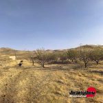 قیمت فروش زمین خام خانه باغی 4500 متر بر روی اتوبان روستای تبت بوکان املاک