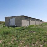 سیلو باغ انگور 8 ساله بە مساحت 15000 متر روستای ترکمان کندی