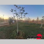 فروش خانه باغ 2000 متر مالک جمال خالقی برق پنل خورشیدی بوکان املاک